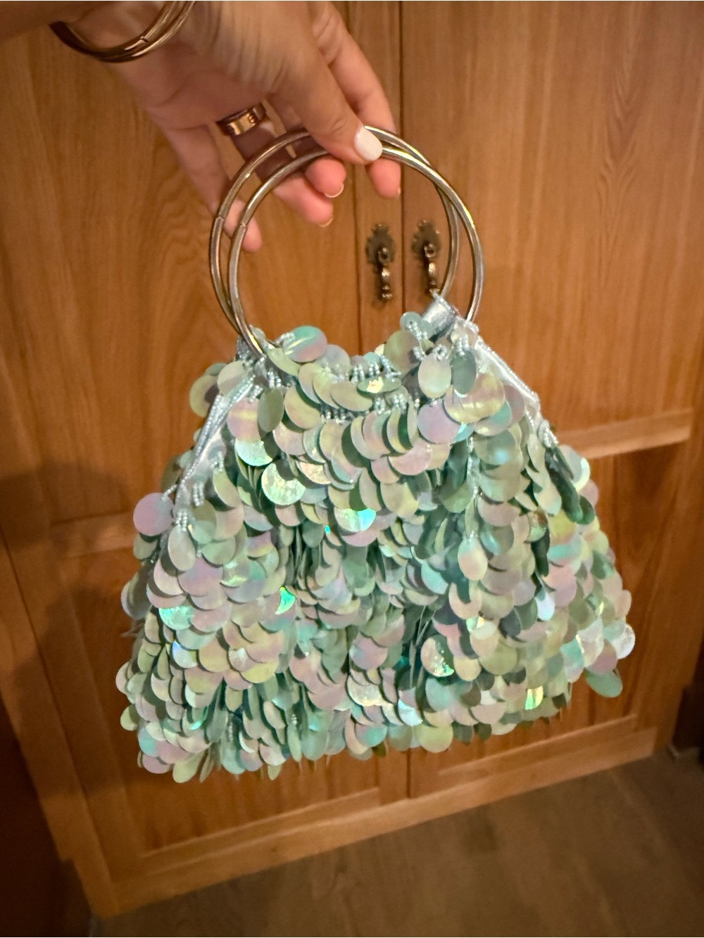Source Unknown Iridescent Mint Sequin Mini Bag with Gold Rings
